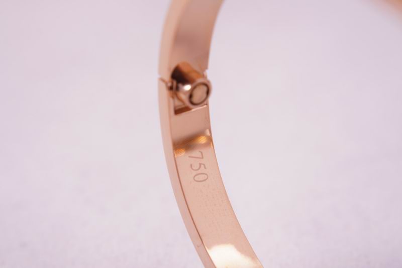 Cartier bracelet 03lyx62 (26)